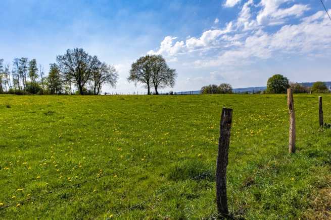 Jak kupić działkę zagrodową nie będąc rolnikiem?